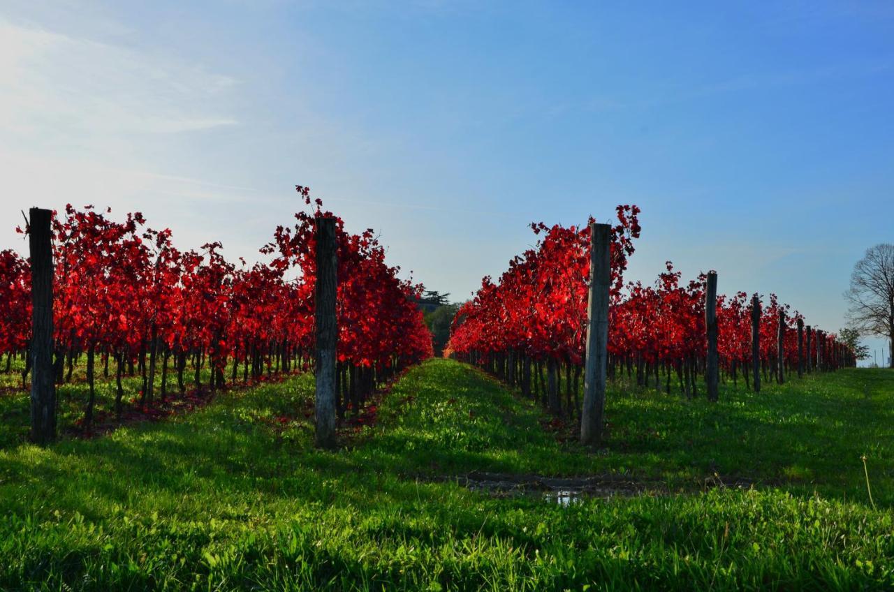 Alloggio Agrituristico Corte San Biagio Corno di Rosazzo Eksteriør billede