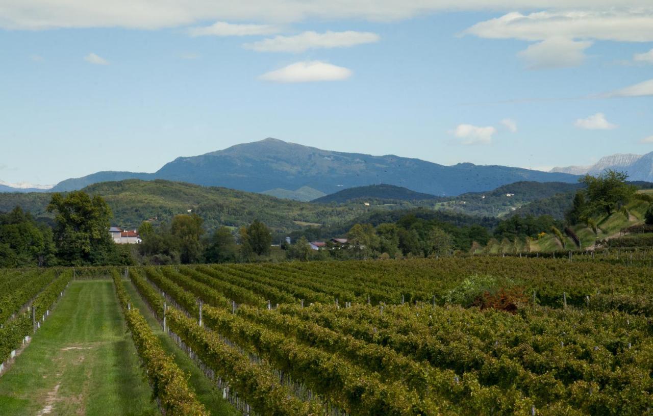 Alloggio Agrituristico Corte San Biagio Corno di Rosazzo Eksteriør billede
