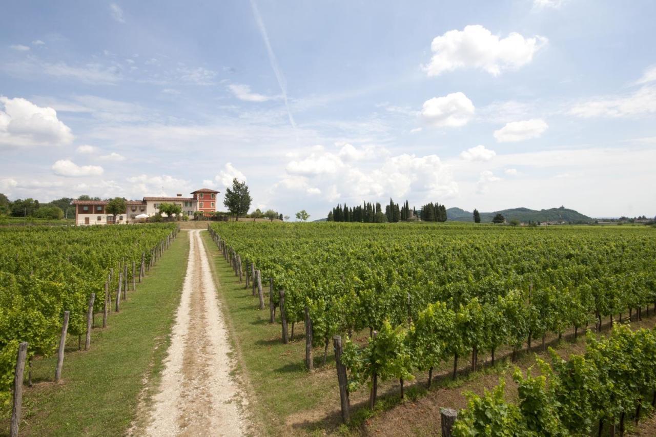 Alloggio Agrituristico Corte San Biagio Corno di Rosazzo Eksteriør billede
