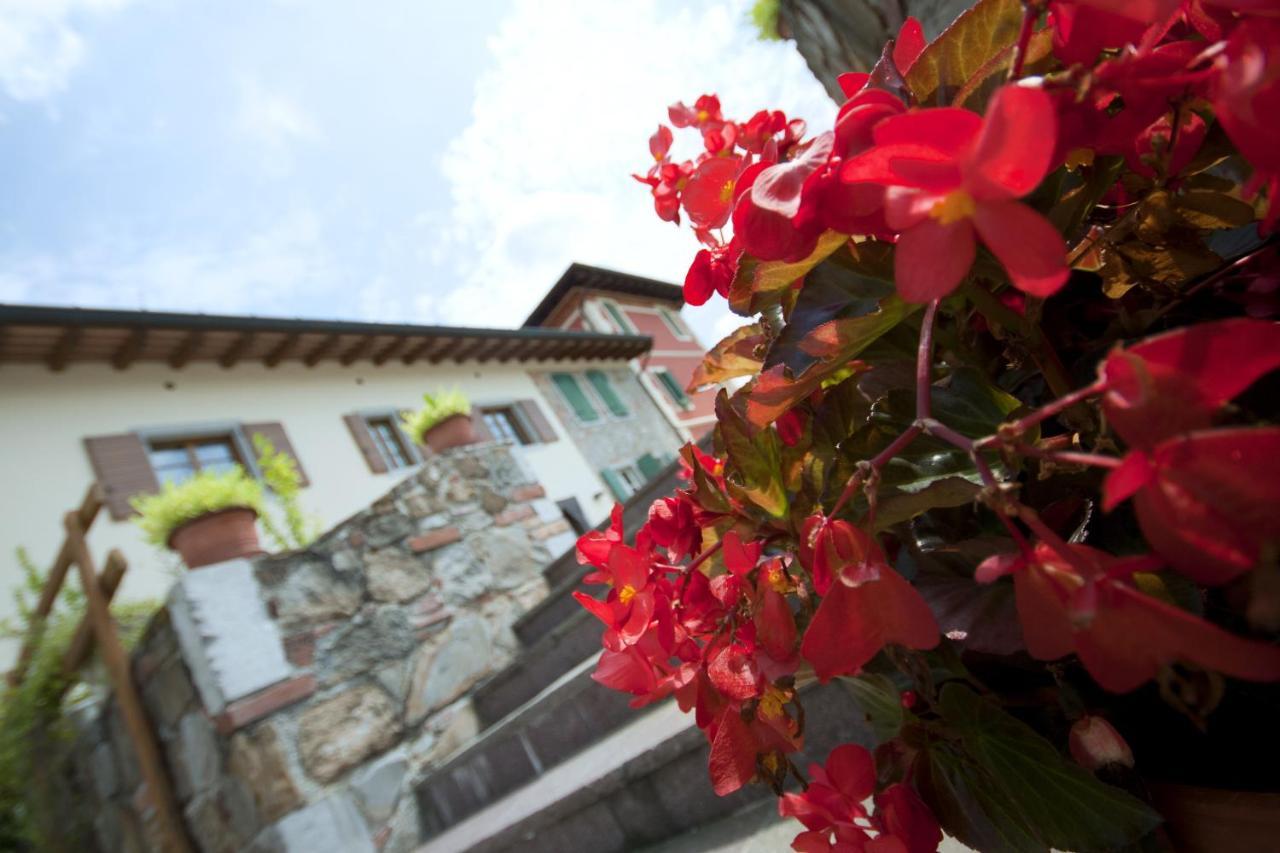 Alloggio Agrituristico Corte San Biagio Corno di Rosazzo Eksteriør billede