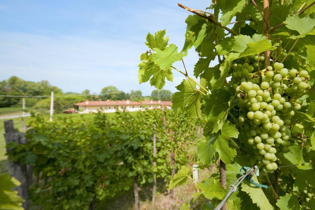 Alloggio Agrituristico Corte San Biagio Corno di Rosazzo Eksteriør billede