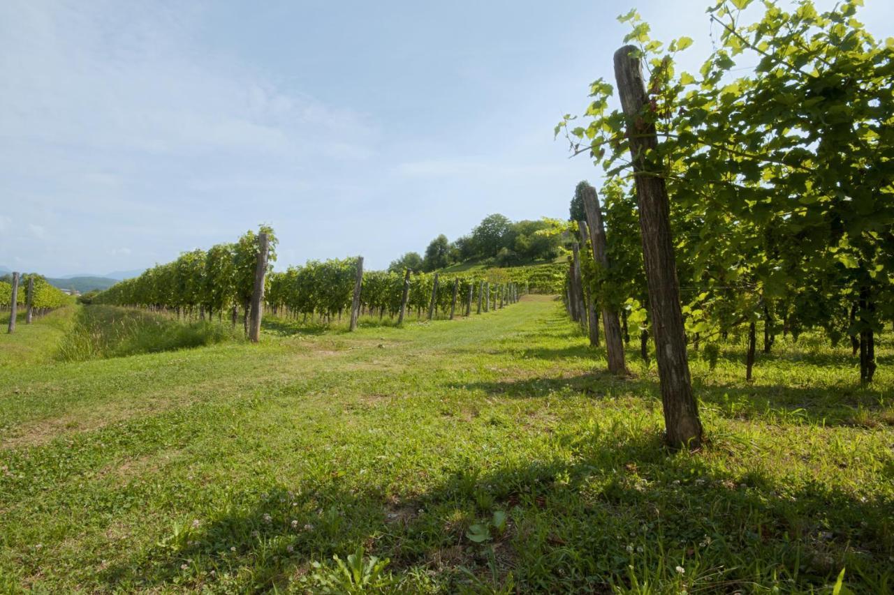 Alloggio Agrituristico Corte San Biagio Corno di Rosazzo Eksteriør billede