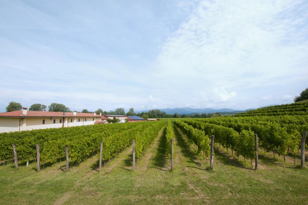 Alloggio Agrituristico Corte San Biagio Corno di Rosazzo Eksteriør billede