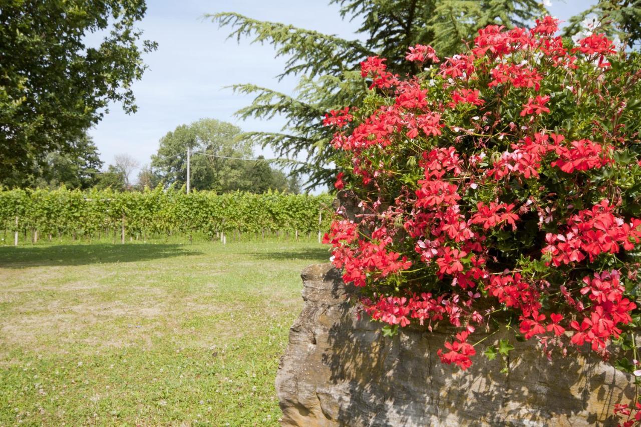 Alloggio Agrituristico Corte San Biagio Corno di Rosazzo Eksteriør billede